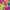 CVTW 041: The Love Island Of Doctor Moreau