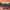 Patreon and Our Personal Story of Depression