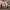 City Pop, Cats, and Charlatans (May 8, 2020)
